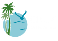 The Cruz Orthodontics logo